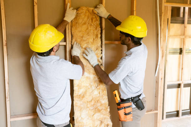 Best Cellulose Insulation  in Coldstream, KY